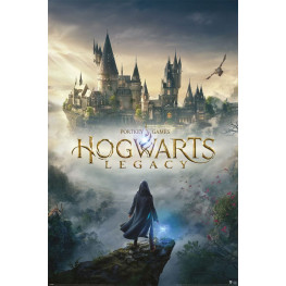 Hogwarts Legacy plagát Pack Wizarding World Universe 61 x 91 cm (5)